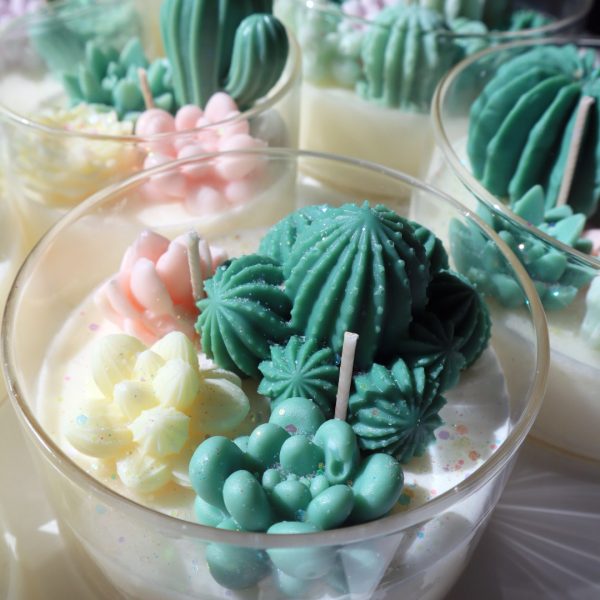 Cactus Garden