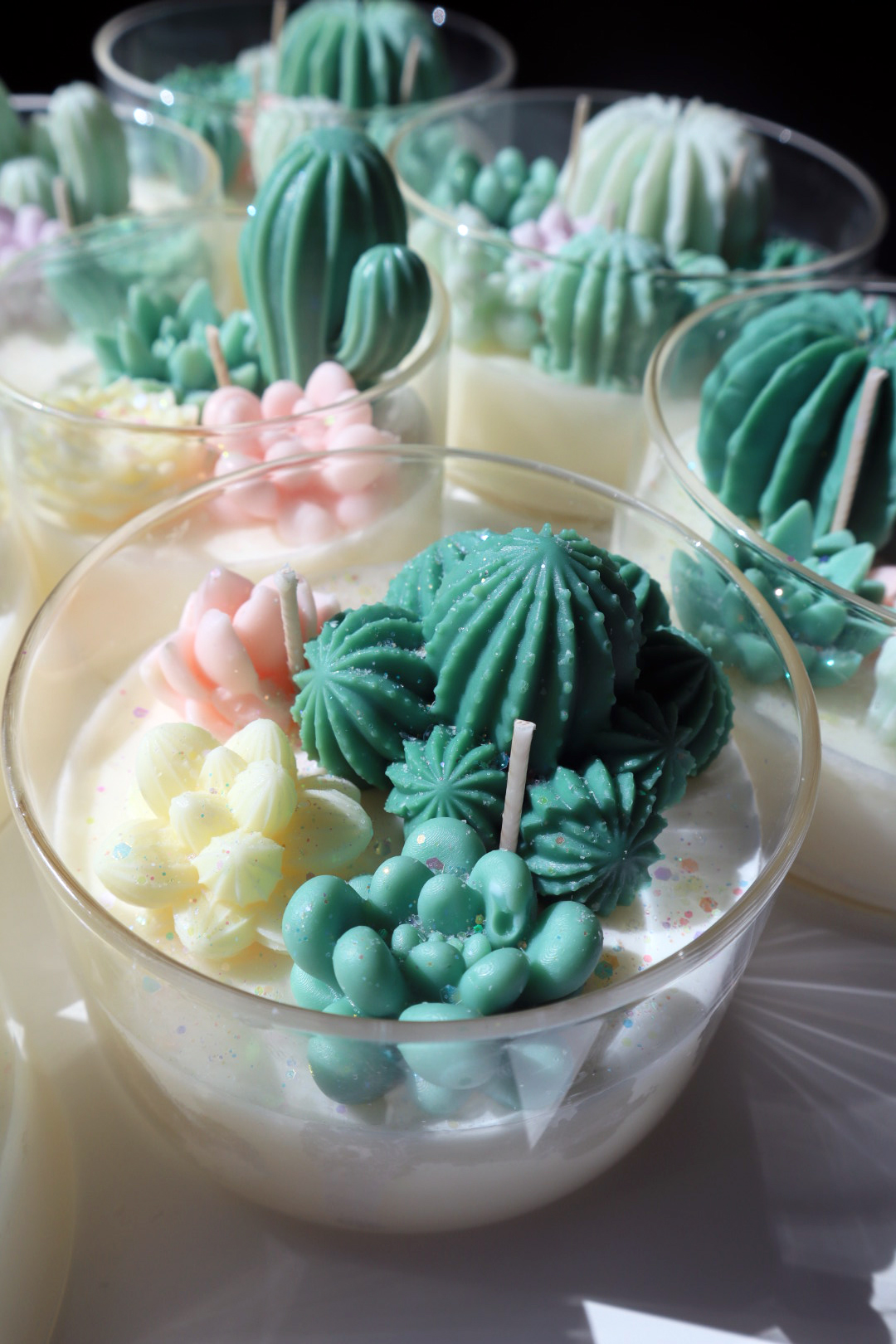 Cactus Garden